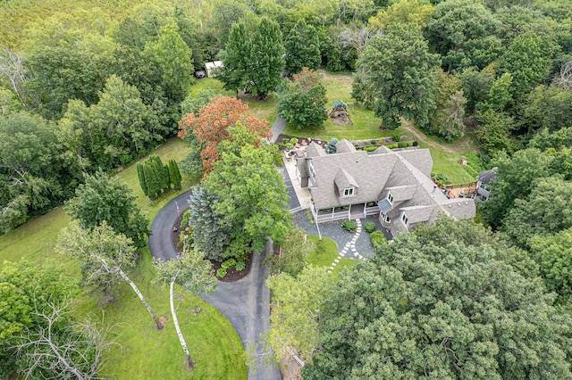 10069 Stacy Trl, Chisago City, MN 55013 - view from above of property featuring a forest