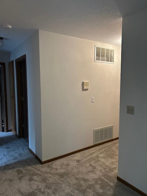 3569 Blue Jay Way Unit 201, Eagan, MN 55123 - photo 19