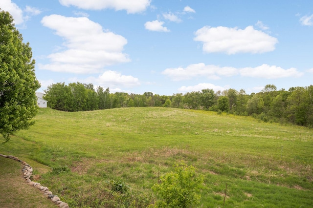 12697 177th St N, May Twp, MN 55047 - view of woods with a view of rural / pastoral area