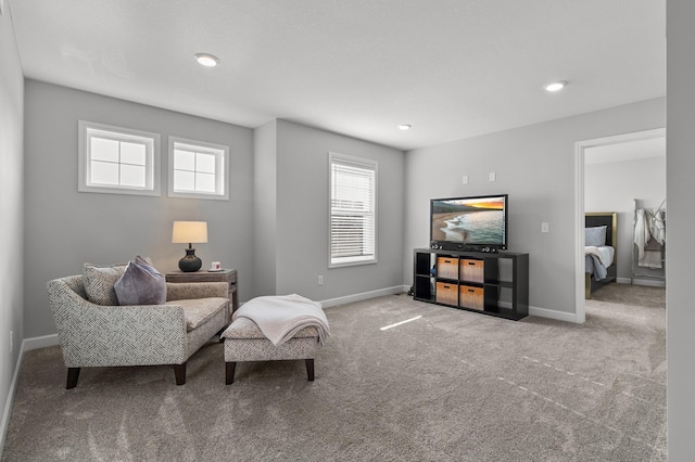 living area featuring baseboards and carpet floors