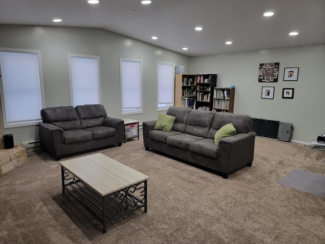 29829 400th Ave, Roseau, MN 56751 - living area featuring carpet flooring, recessed lighting, baseboard heating, and lofted ceiling