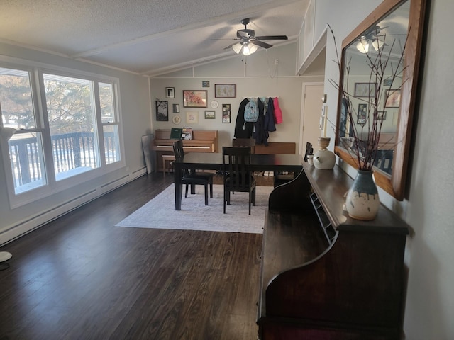 29829 400th Ave, Roseau, MN 56751 - dining area with a ceiling fan, dark wood-style flooring, lofted ceiling, a textured ceiling, and baseboard heating