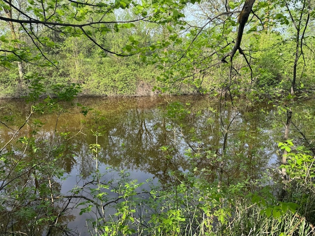 29829 400th Ave, Roseau, MN 56751 - water view featuring a heavily wooded area