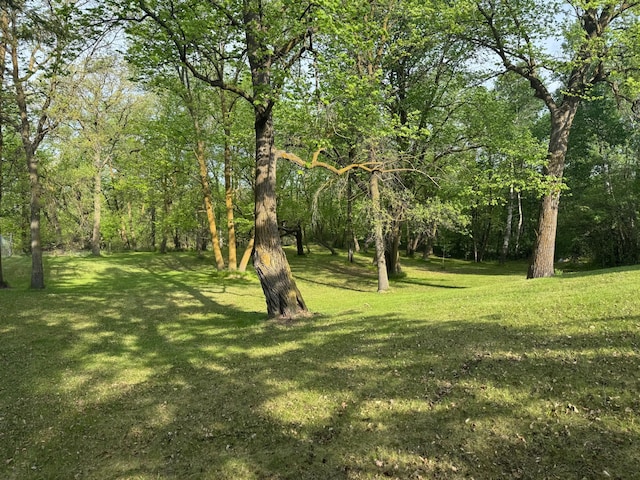 29829 400th Ave, Roseau, MN 56751 - view of green lawn