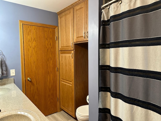 full bath featuring double vanity, toilet, a shower with curtain, and a sink