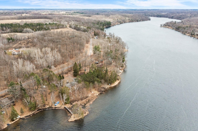 drone / aerial view with a water view and a wooded view