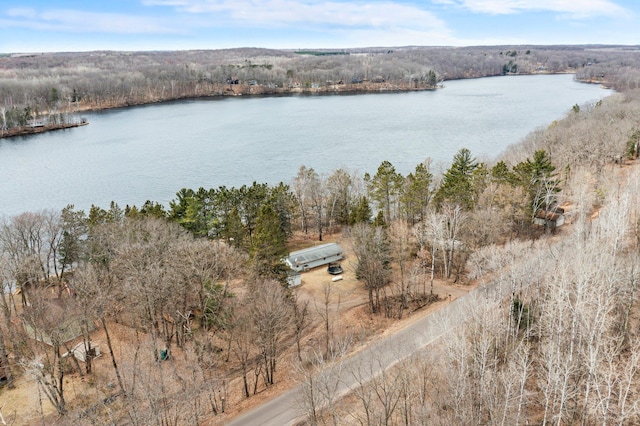 aerial view with a water view and a view of trees