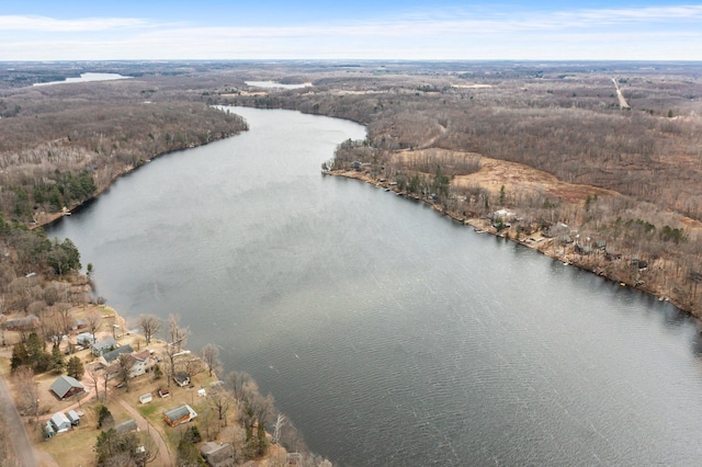 drone / aerial view with a wooded view and a water view