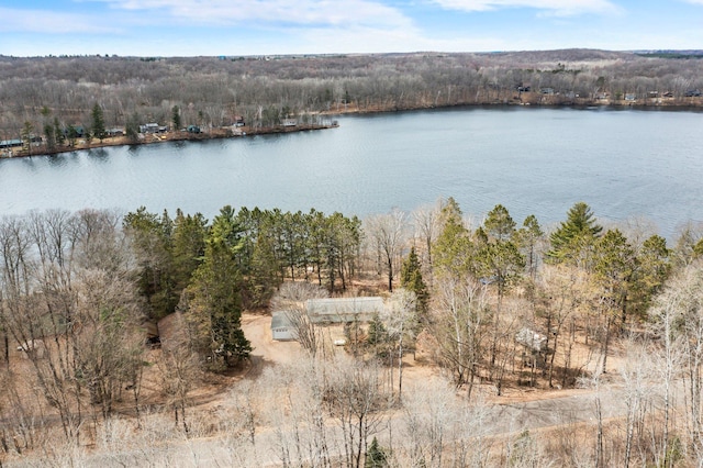 201 27 1/4 26 7/8 Avenue A, Cumberland, WI 54829 - water view with a forest
