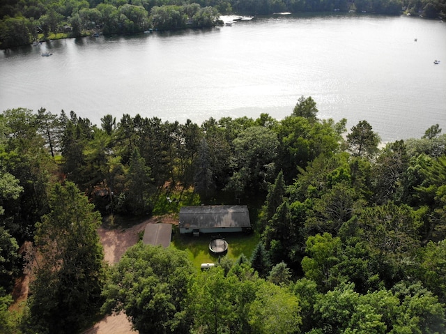 201 27 1/4 26 7/8 Avenue A, Cumberland, WI 54829 - aerial view of a heavily wooded area and a large body of water