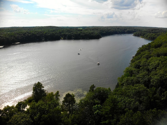 201 27 1/4 26 7/8 Avenue A, Cumberland, WI 54829 - drone / aerial view of a heavily wooded area and a large body of water
