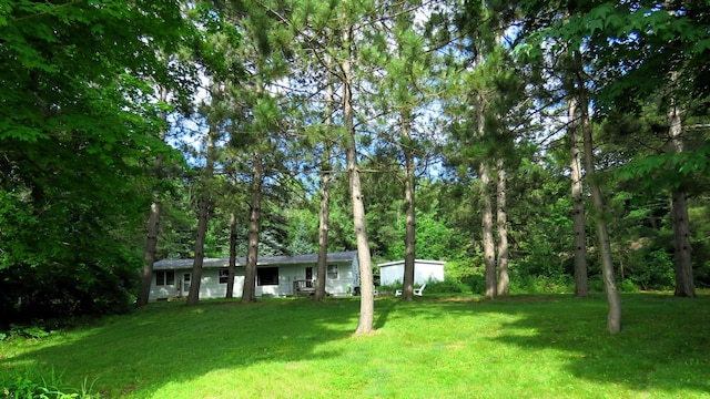 201 27 1/4 26 7/8 Avenue A, Cumberland, WI 54829 - view of green lawn