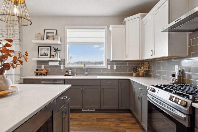 kitchen with ventilation hood, stainless steel appliances, light countertops, and a sink