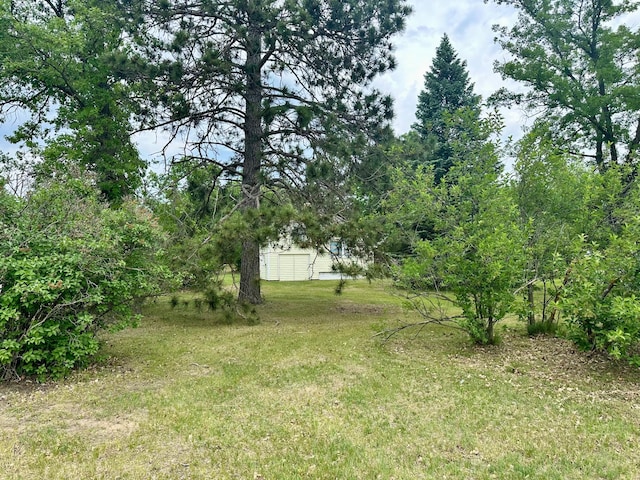 329 Main St NW, Menahga, MN 56464 - view of yard