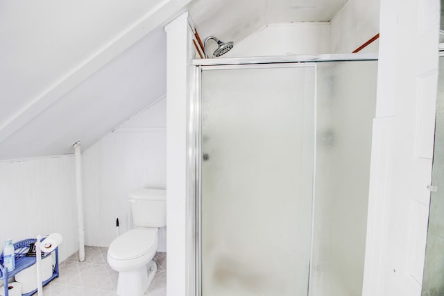329 Main St NW, Menahga, MN 56464 - bathroom with vaulted ceiling, a stall shower, and toilet