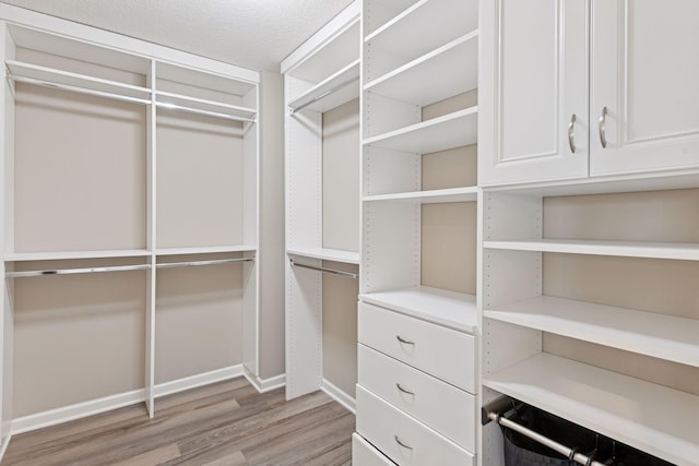 8949 Village Loop, Chanhassen, MN 55317 - walk in closet featuring wood finished floors