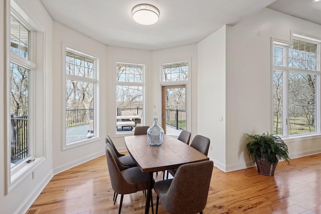 dining room with a wealth of natural light and light wood-style floors