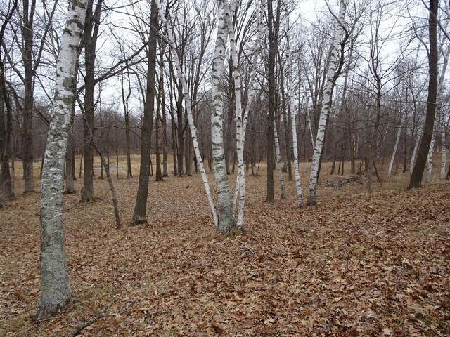 900 270th Ave, Luck, WI 54853