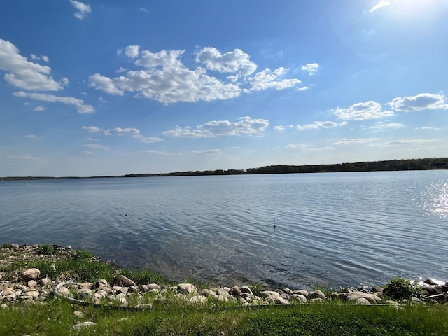 11253 Alcott Dr, Birchdale Twp, MN 56378 - photo 52