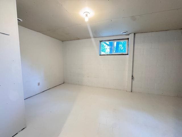 222 Dogwood Ave NW, Menahga, MN 56464 - view of basement