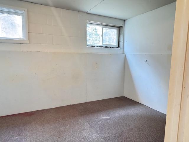 222 Dogwood Ave NW, Menahga, MN 56464 - spare room featuring carpet floors