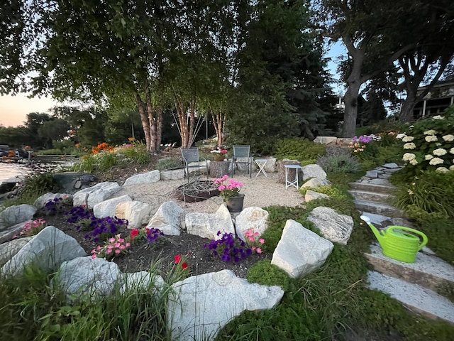 view of yard featuring a patio