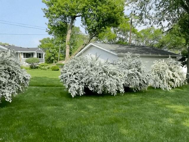 exterior space featuring a lawn