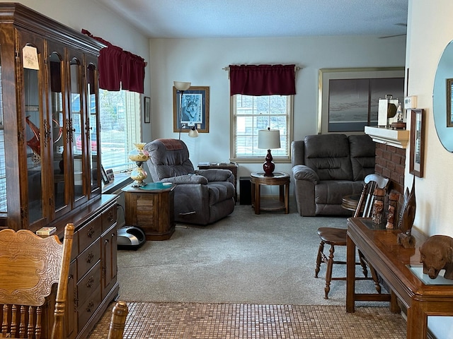 living area featuring carpet flooring and plenty of natural light