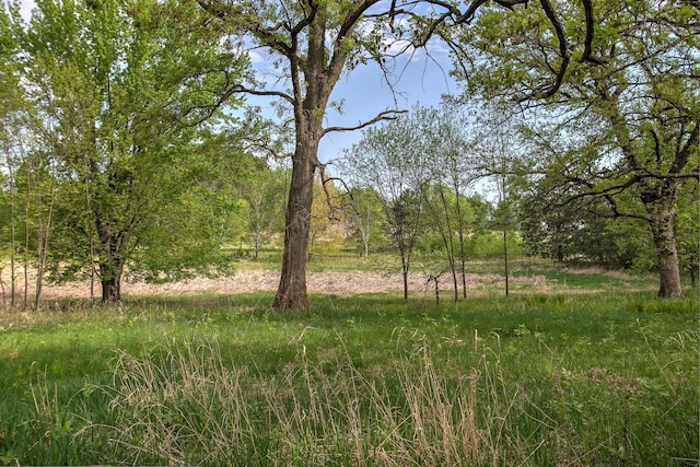 35449 Hastings St NE, Cambridge, MN 55008 - view of undeveloped land