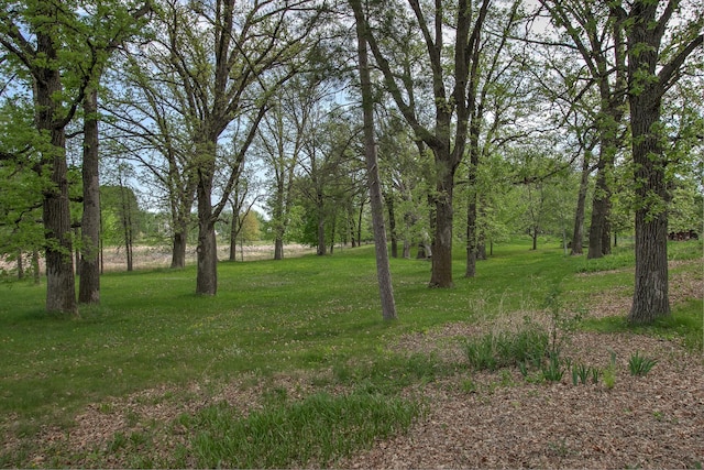 35449 Hastings St NE, Cambridge, MN 55008 - view of grassy yard