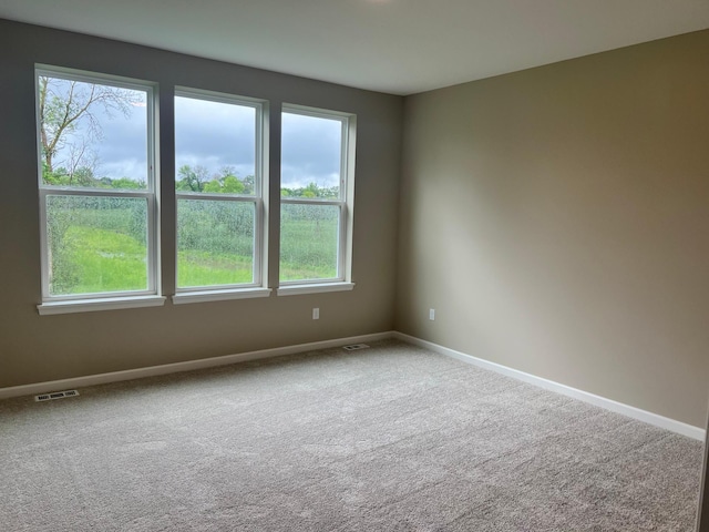 10057 Mulberry Ln, Corcoran, MN 55374 - photo 13