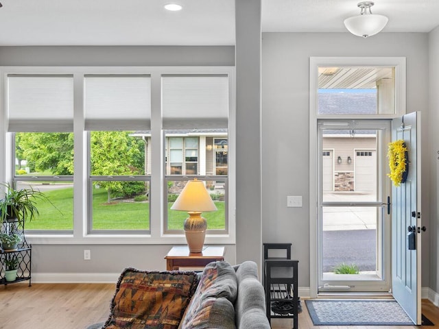 1128 Willowbrook Cir, Delano, MN 55328 - entryway featuring wood finished floors, baseboards, and recessed lighting