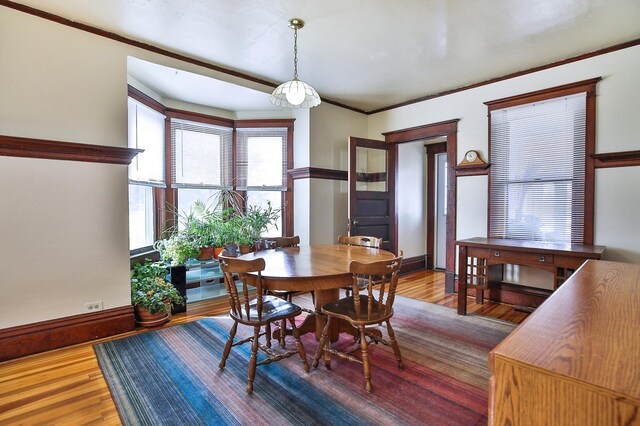 29058 132nd St, Waseca, MN 56093 - dining space featuring wood finished floors and crown molding