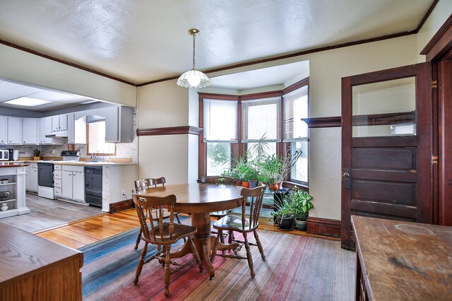 29058 132nd St, Waseca, MN 56093 - dining space with light wood-type flooring