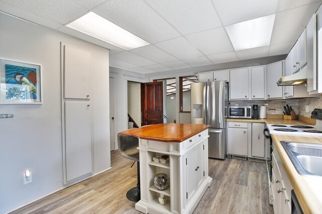 29058 132nd St, Waseca, MN 56093 - kitchen featuring appliances with stainless steel finishes, under cabinet range hood, butcher block counters, light wood-style flooring, and open shelves