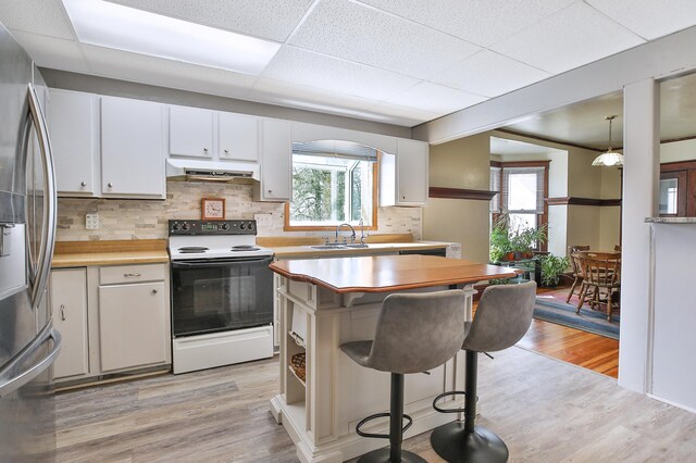 29058 132nd St, Waseca, MN 56093 - kitchen with electric range, stainless steel refrigerator with ice dispenser, under cabinet range hood, light wood finished floors, and a paneled ceiling
