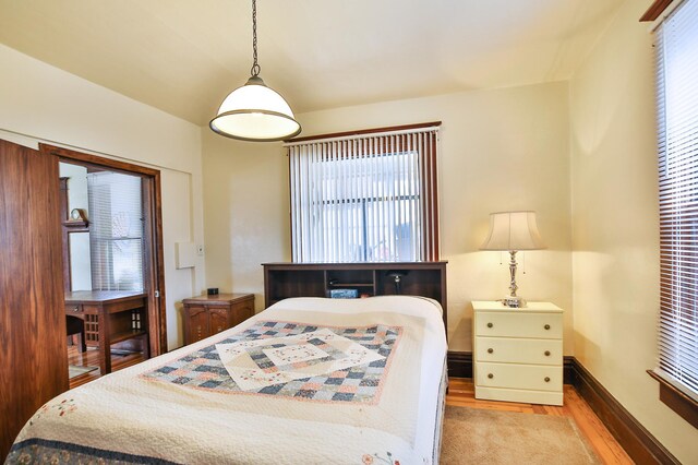 29058 132nd St, Waseca, MN 56093 - bedroom with light wood-style flooring and multiple windows