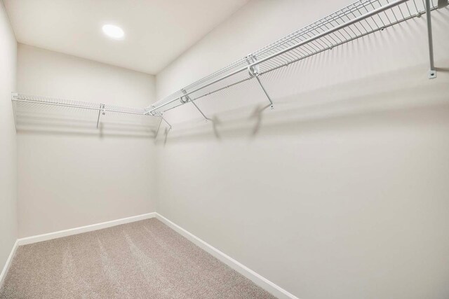 11525 202nd St W, Lakeville, MN 55044 - spacious closet featuring carpet flooring