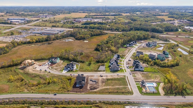 drone / aerial view