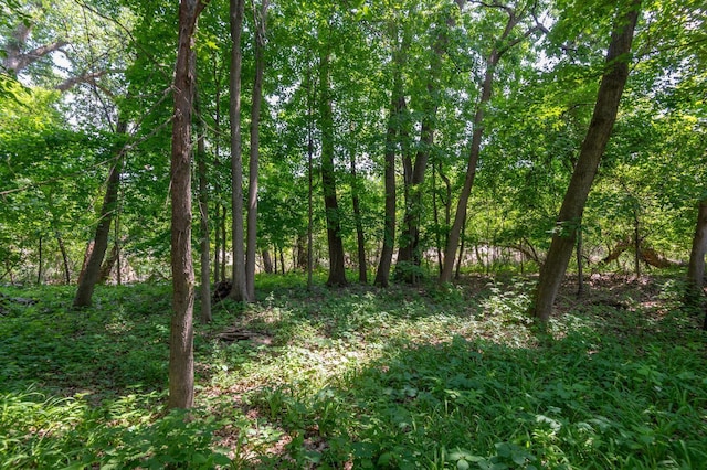 2873 Essex Rd, Mound, MN 55364 - photo 33