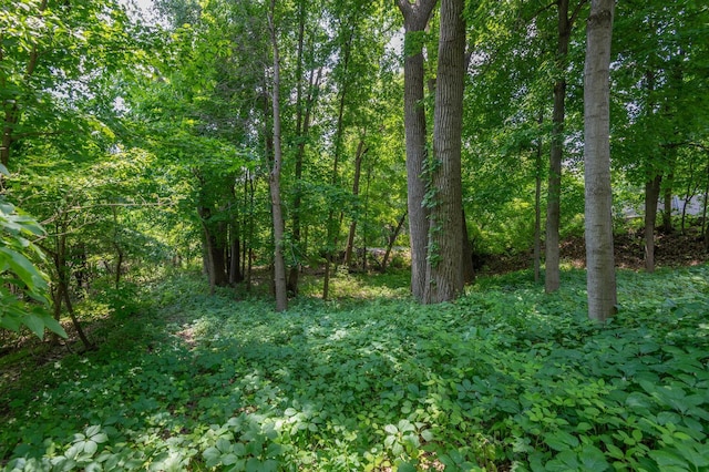 2873 Essex Rd, Mound, MN 55364 - photo 34