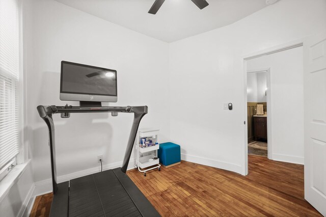 workout room featuring ceiling fan, baseboards, and wood finished floors