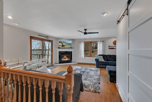 616 Lake Cowdry Rd NW, Alexandria, MN 56308 - living area featuring a barn door, plenty of natural light, a glass covered fireplace, wood finished floors, and a textured ceiling