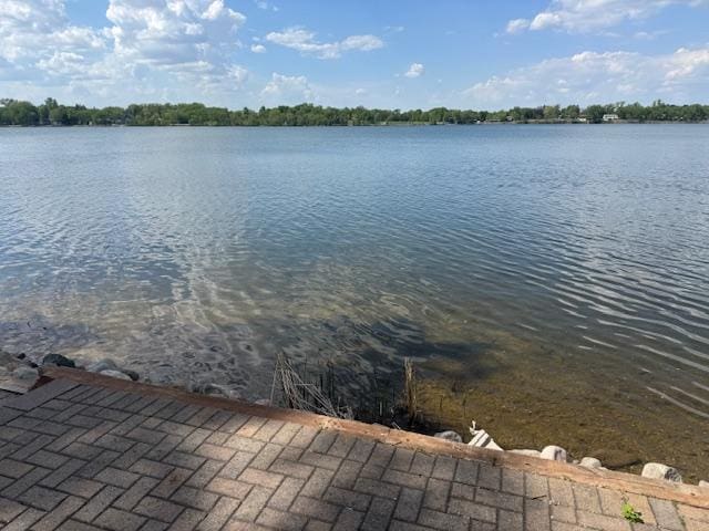 616 Lake Cowdry Rd NW, Alexandria, MN 56308 - water view
