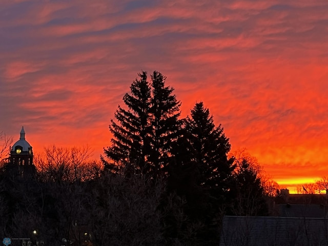 view of nature at dusk