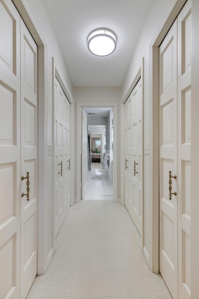 8651 Basswood Rd Unit 203, Eden Prairie, MN 55344 - hall featuring carpet flooring