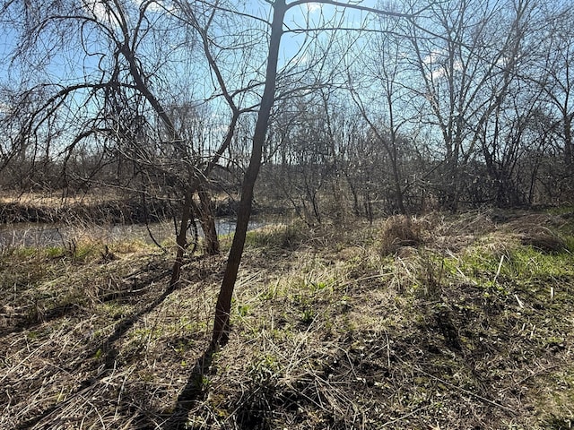 view of nature