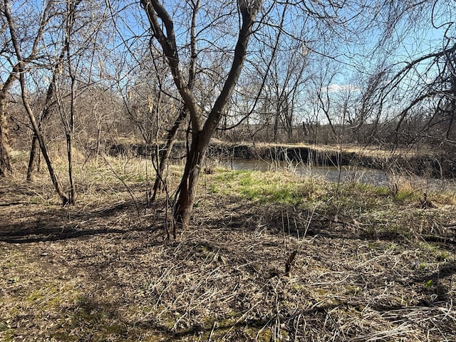 view of nature
