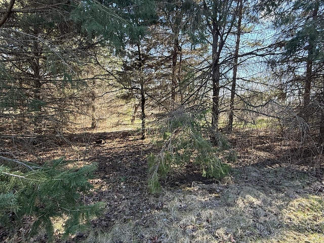 view of local wilderness