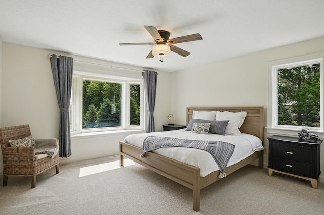 27901 Teale Ave, New Prague, MN 56071 - bedroom with light colored carpet and ceiling fan